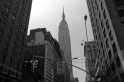 New York (15)